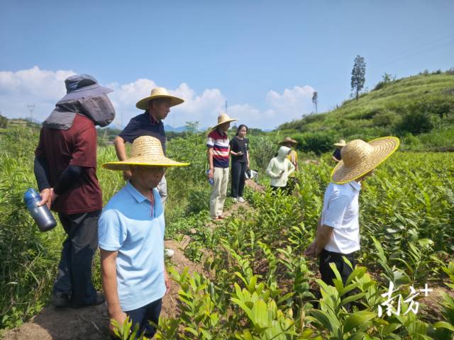 調解小組趕赴現場實地勘察。麥毅攝 調解小組趕赴現場實地勘察。麥毅攝